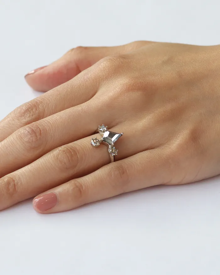 Fitzgerald Jewelry Rings Kyte Salt Pepper Diamond Ring